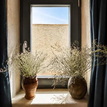 Medievale - - 10 Min Montpellier